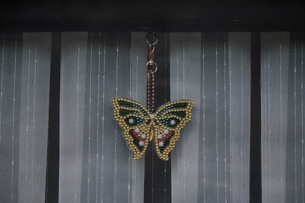 Image 14 of 14