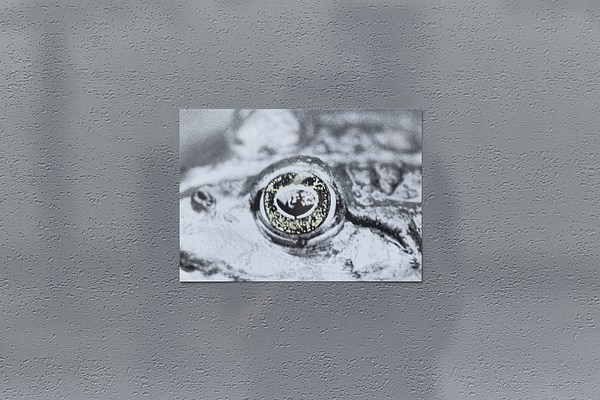 Image 5 of 7