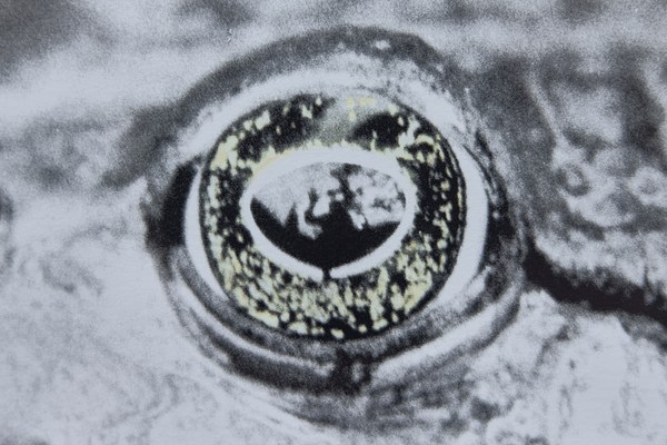 Image 7 of 7