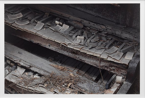 Image 36 of 41