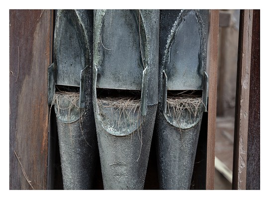 Image 39 of 41