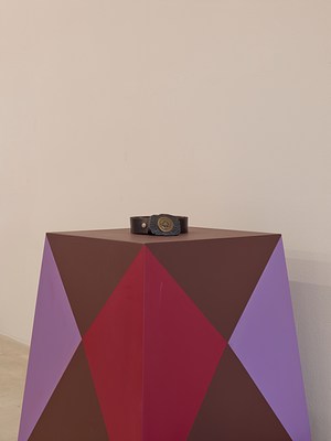 Image 3 of 19