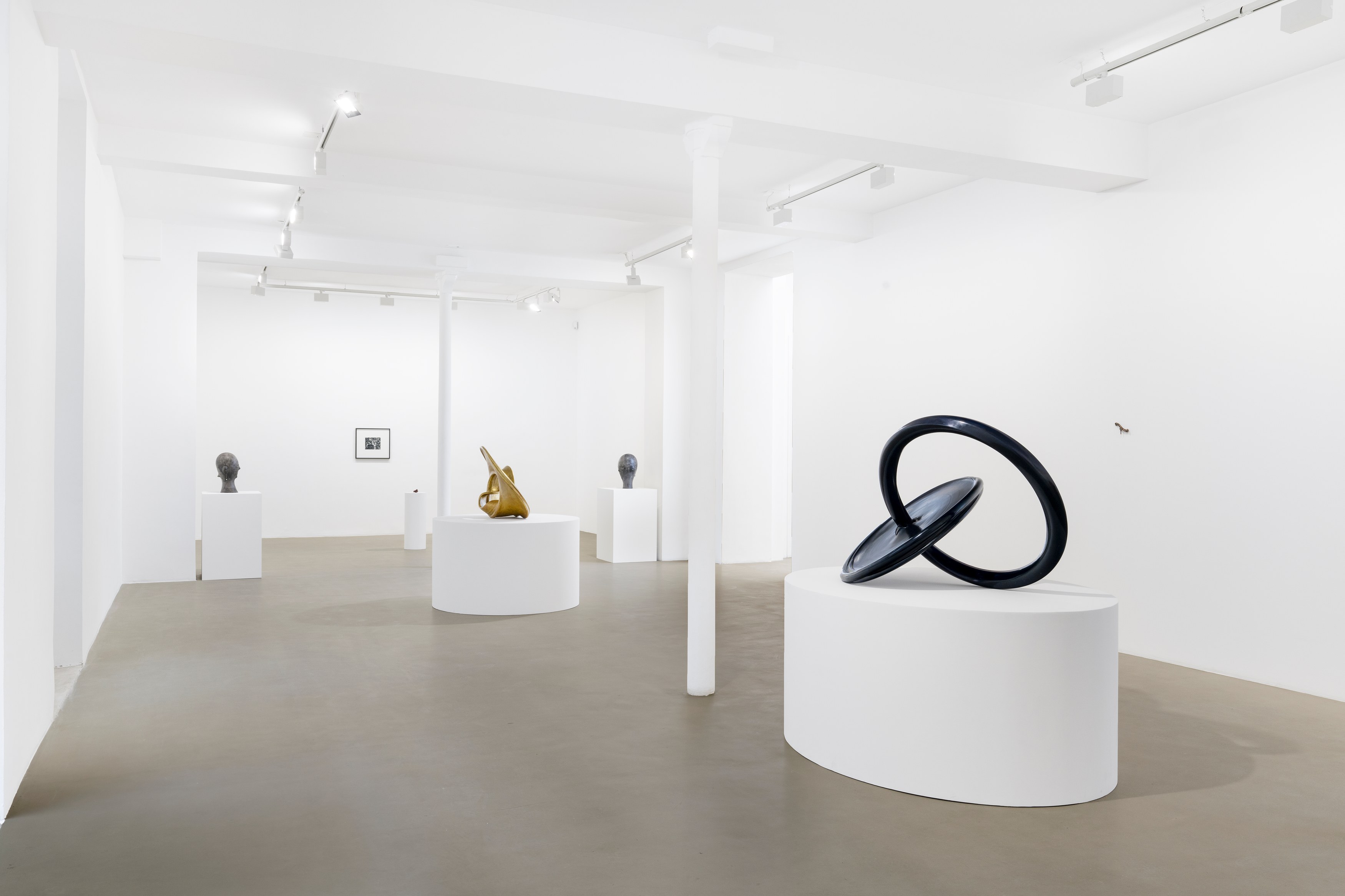 Jean-Luc Moulène, the dot the well the plain and the rain at Galerie Chantal Crousel, photo 3