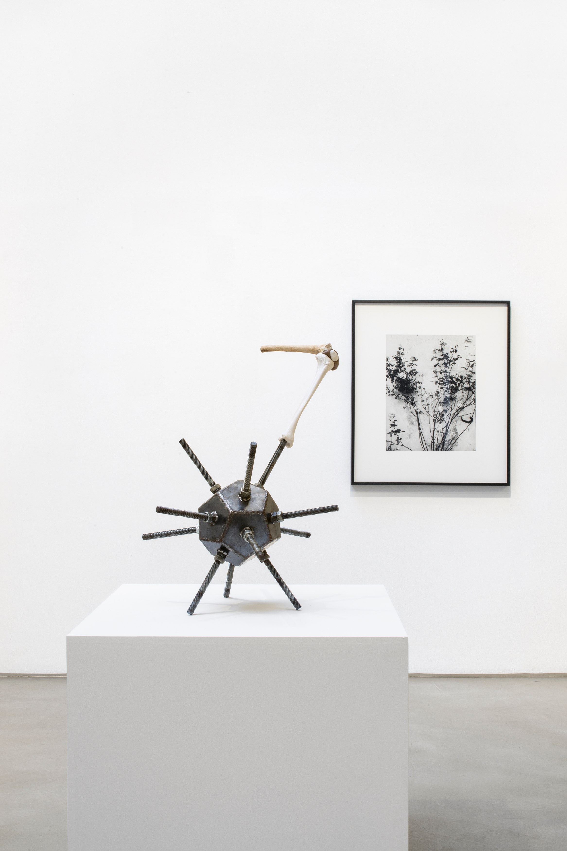 Jean-Luc Moulène, the dot the well the plain and the rain at Galerie Chantal Crousel, photo 4