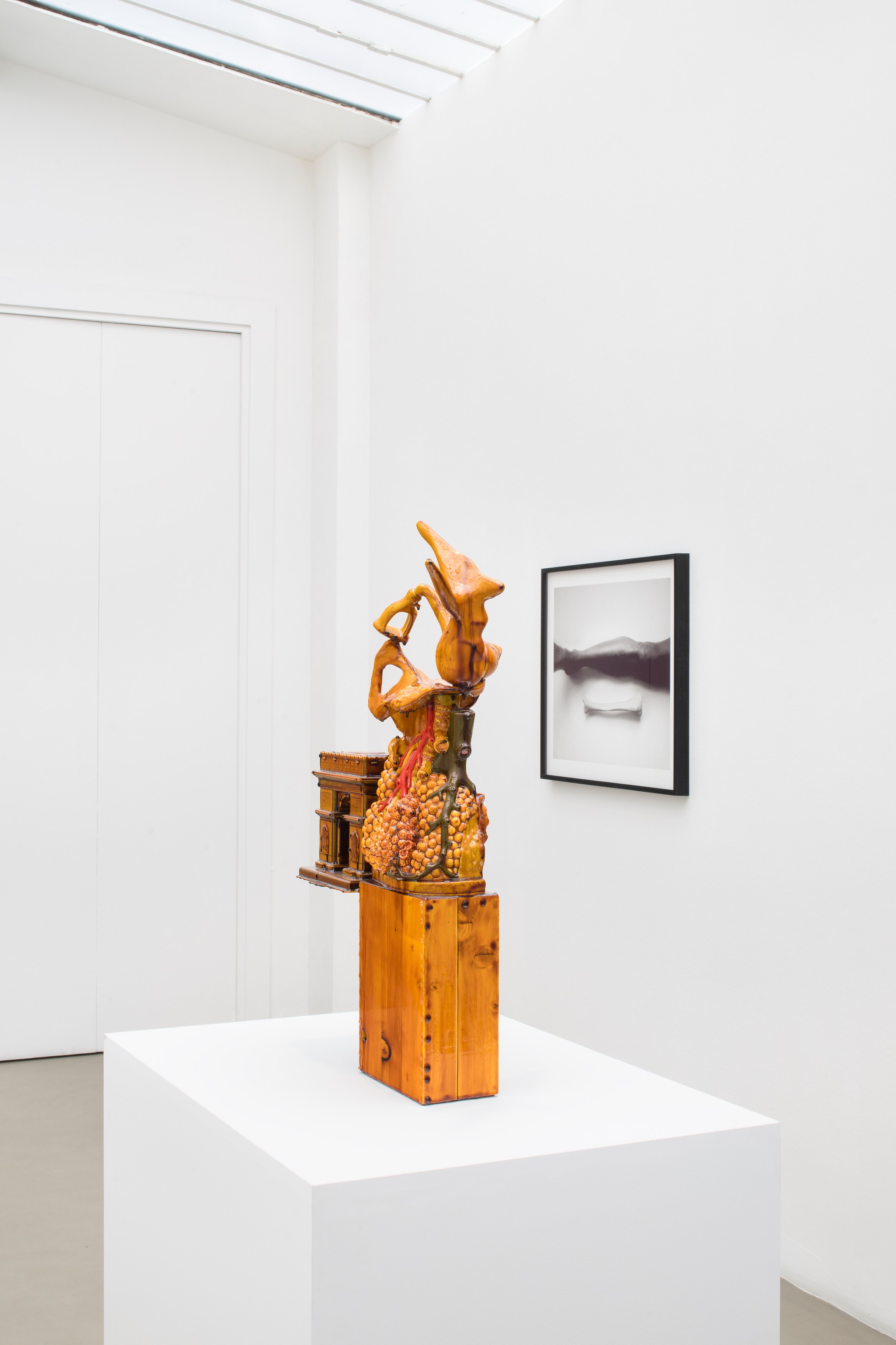 Jean-Luc Moulène, the dot the well the plain and the rain at Galerie Chantal Crousel, photo 5
