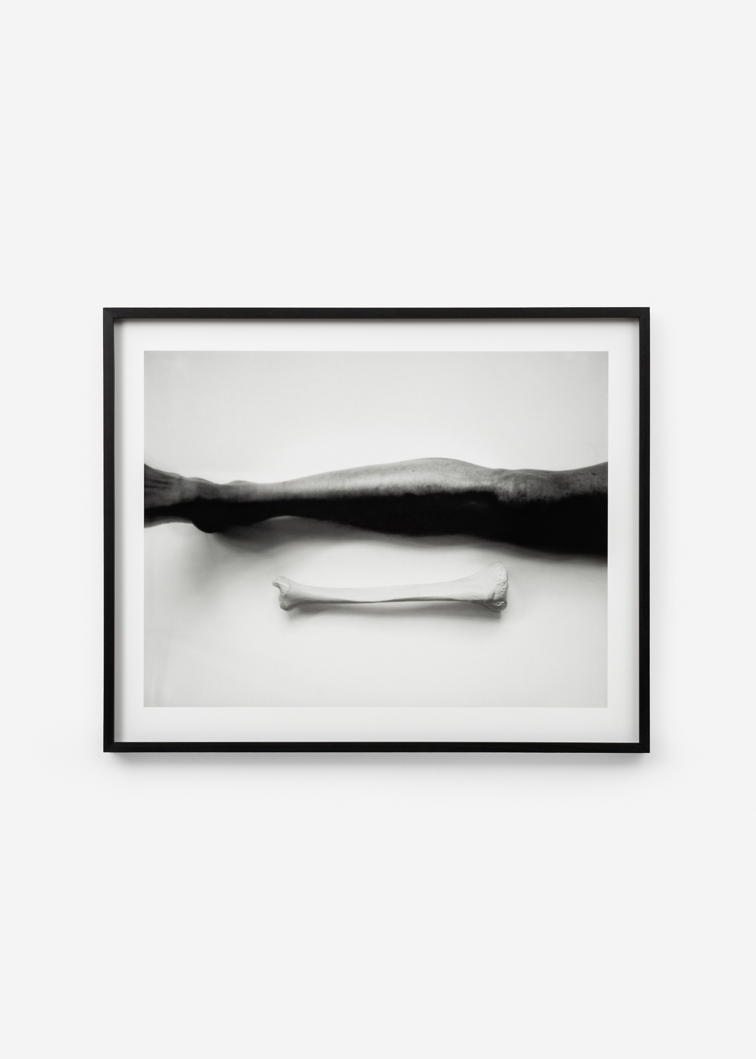 Jean-Luc Moulène, the dot the well the plain and the rain at Galerie Chantal Crousel, photo 10