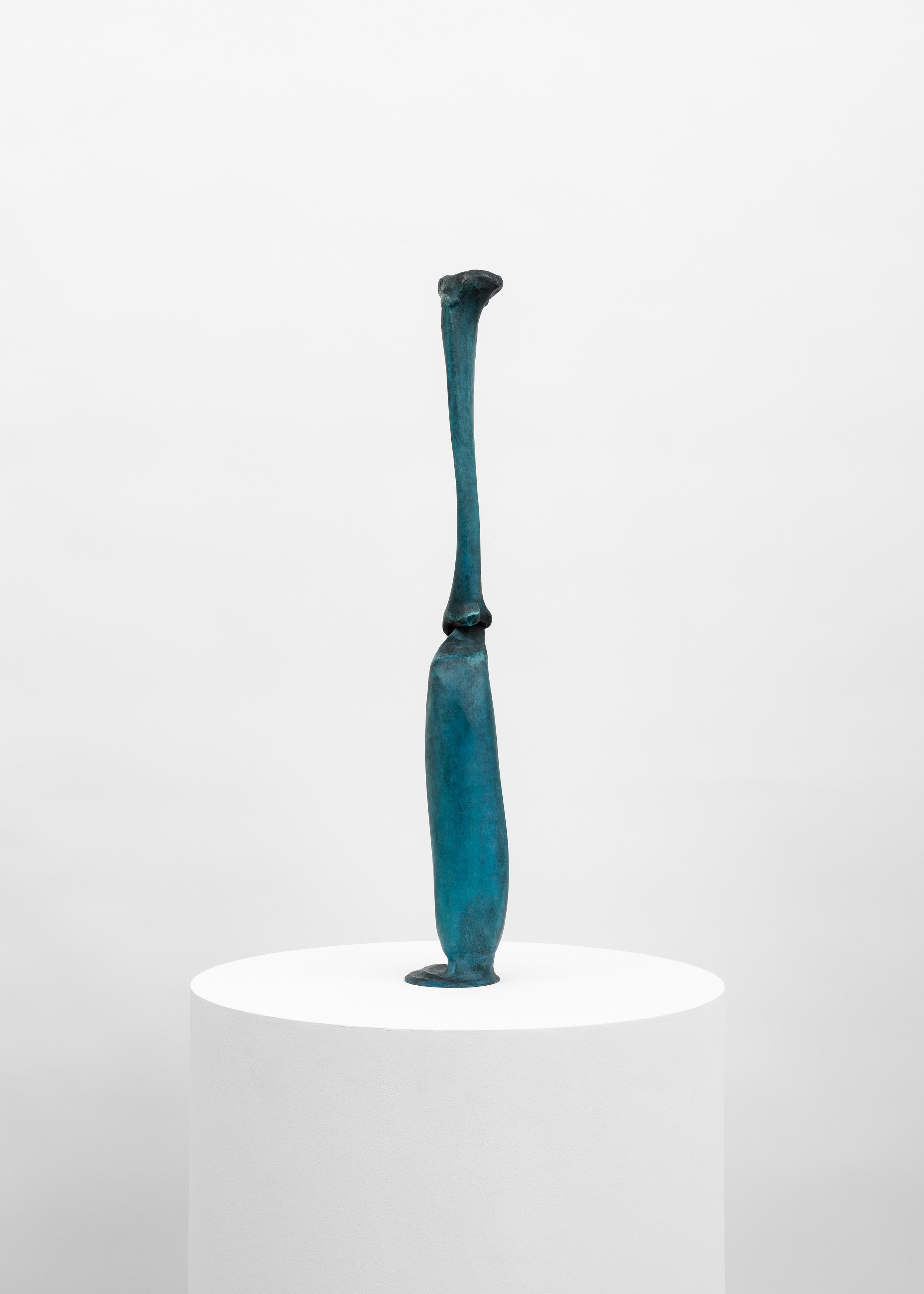 Jean-Luc Moulène, the dot the well the plain and the rain at Galerie Chantal Crousel, photo 6