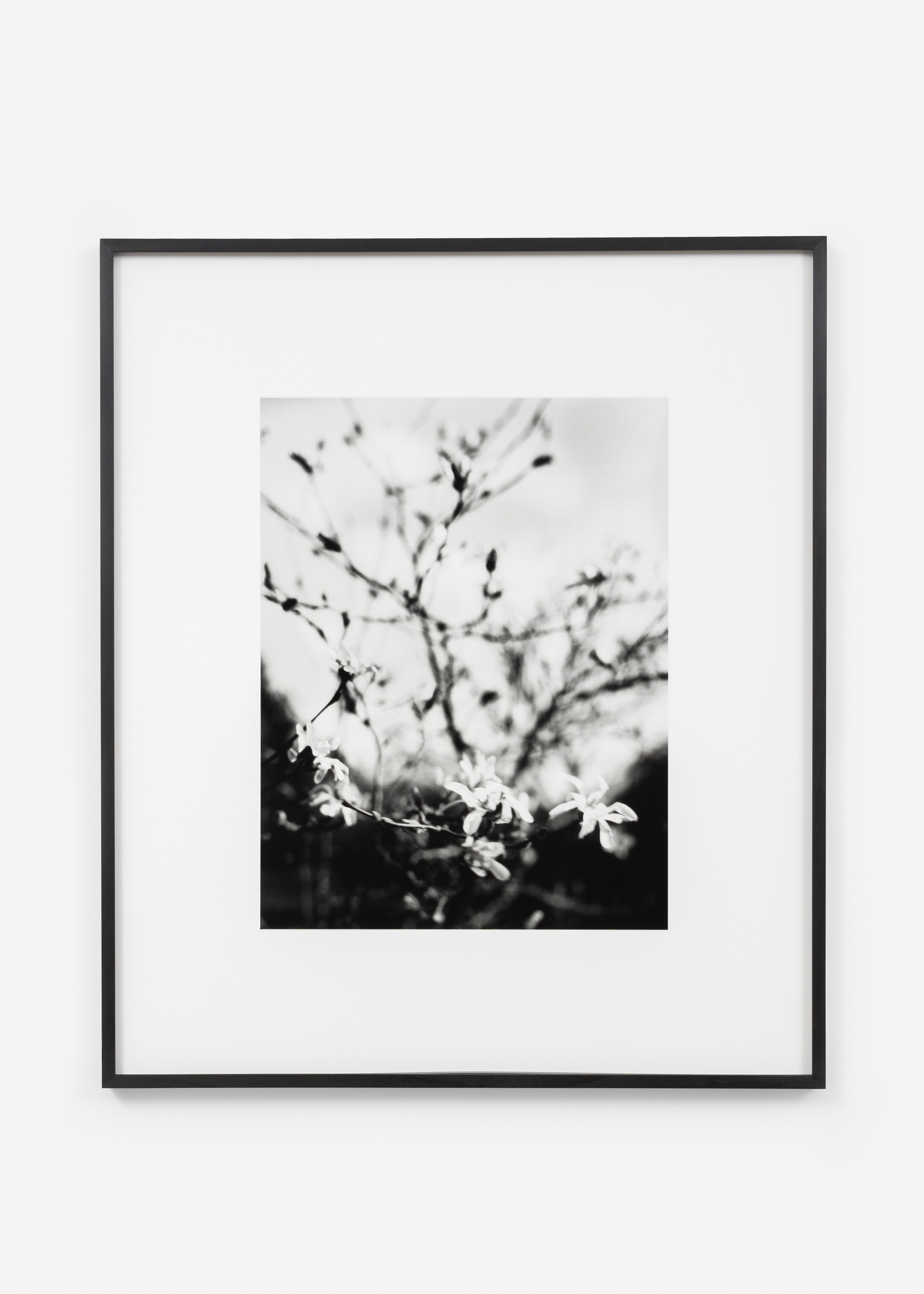 Jean-Luc Moulène, the dot the well the plain and the rain at Galerie Chantal Crousel, photo 13