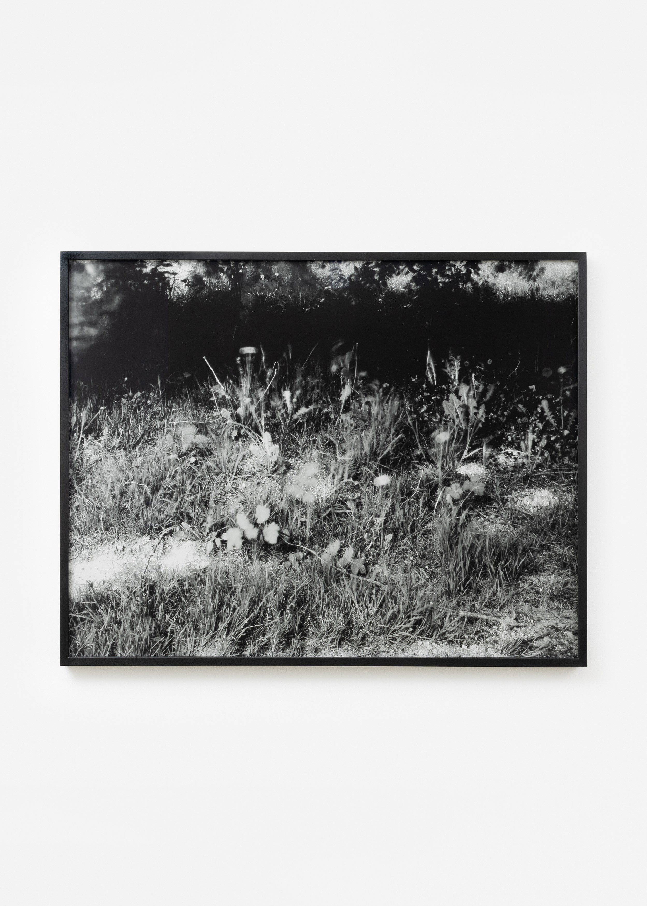 Jean-Luc Moulène, the dot the well the plain and the rain at Galerie Chantal Crousel, photo 12