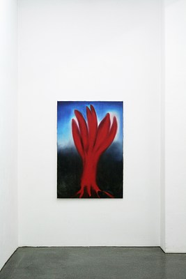 Image 11 of 17