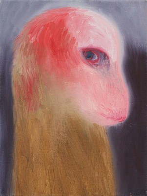 Image 17 of 17