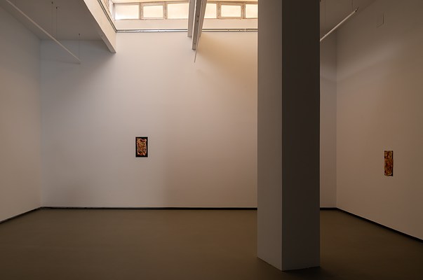 Image 4 of 12