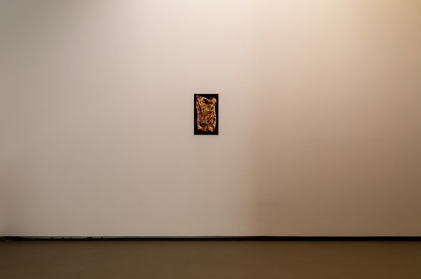 Image 5 of 12
