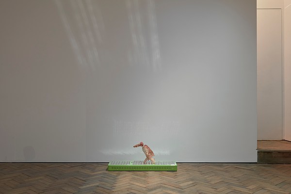 Image 9 of 36