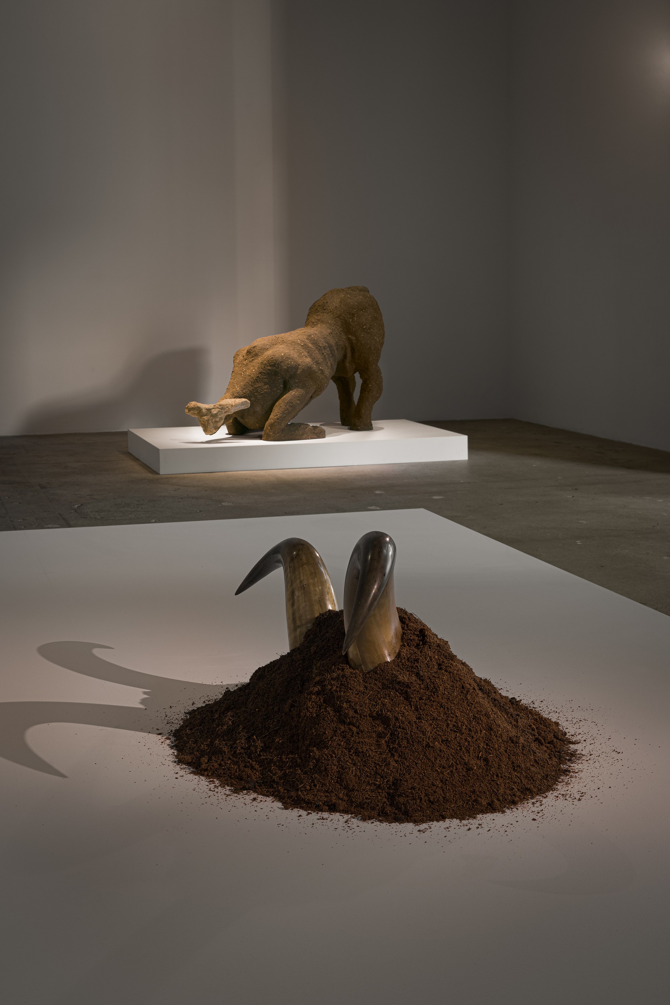 Ali Cherri, Humble and quiet and soothing as mud at Swiss Institute, photo 9