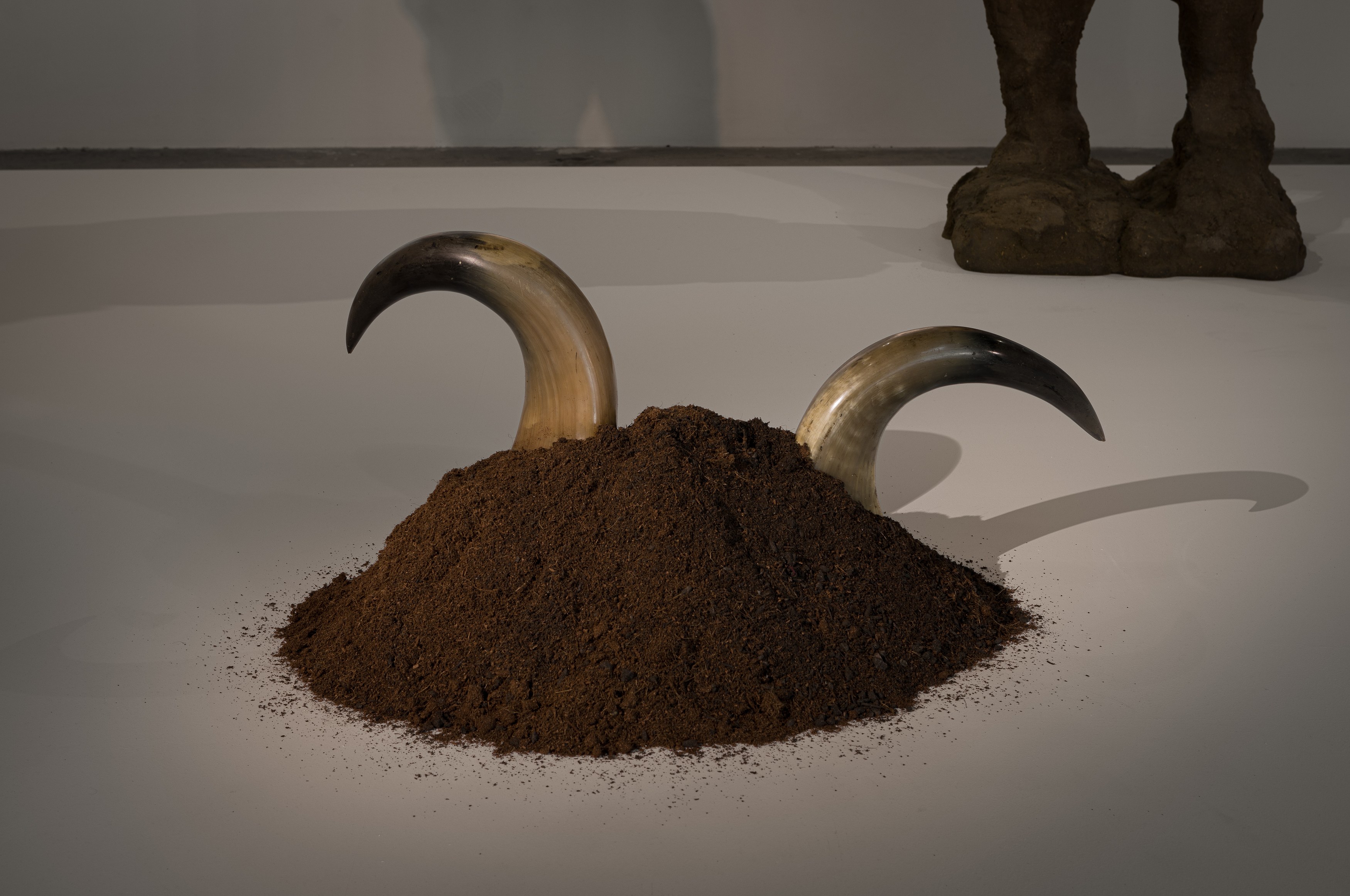 Ali Cherri, Humble and quiet and soothing as mud at Swiss Institute, photo 10