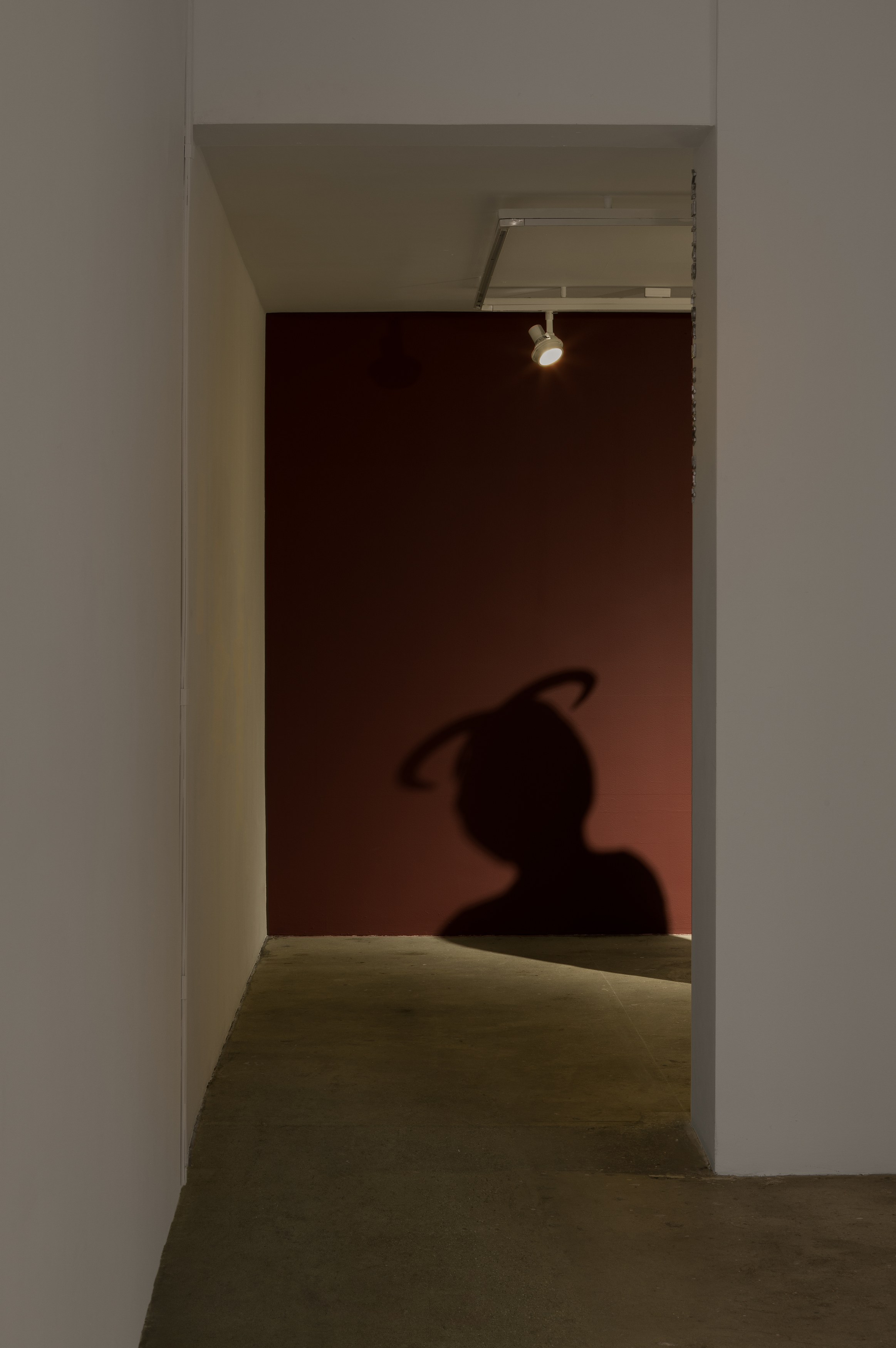 Ali Cherri, Humble and quiet and soothing as mud at Swiss Institute, photo 19