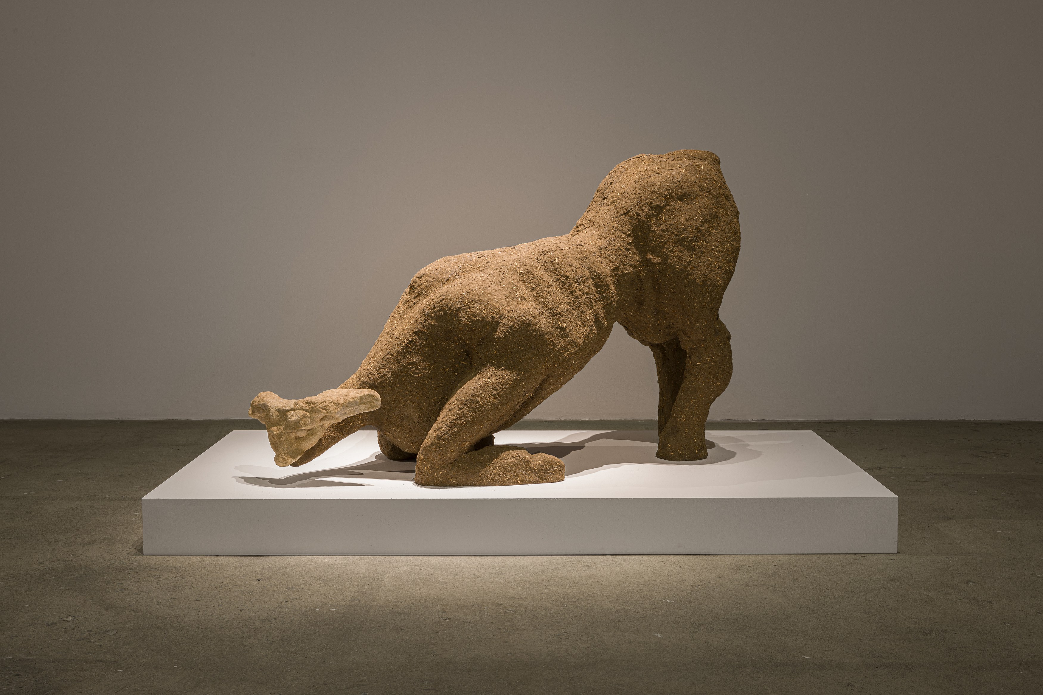 Ali Cherri, Humble and quiet and soothing as mud at Swiss Institute, photo 21