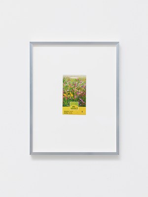 Image 5 of 14