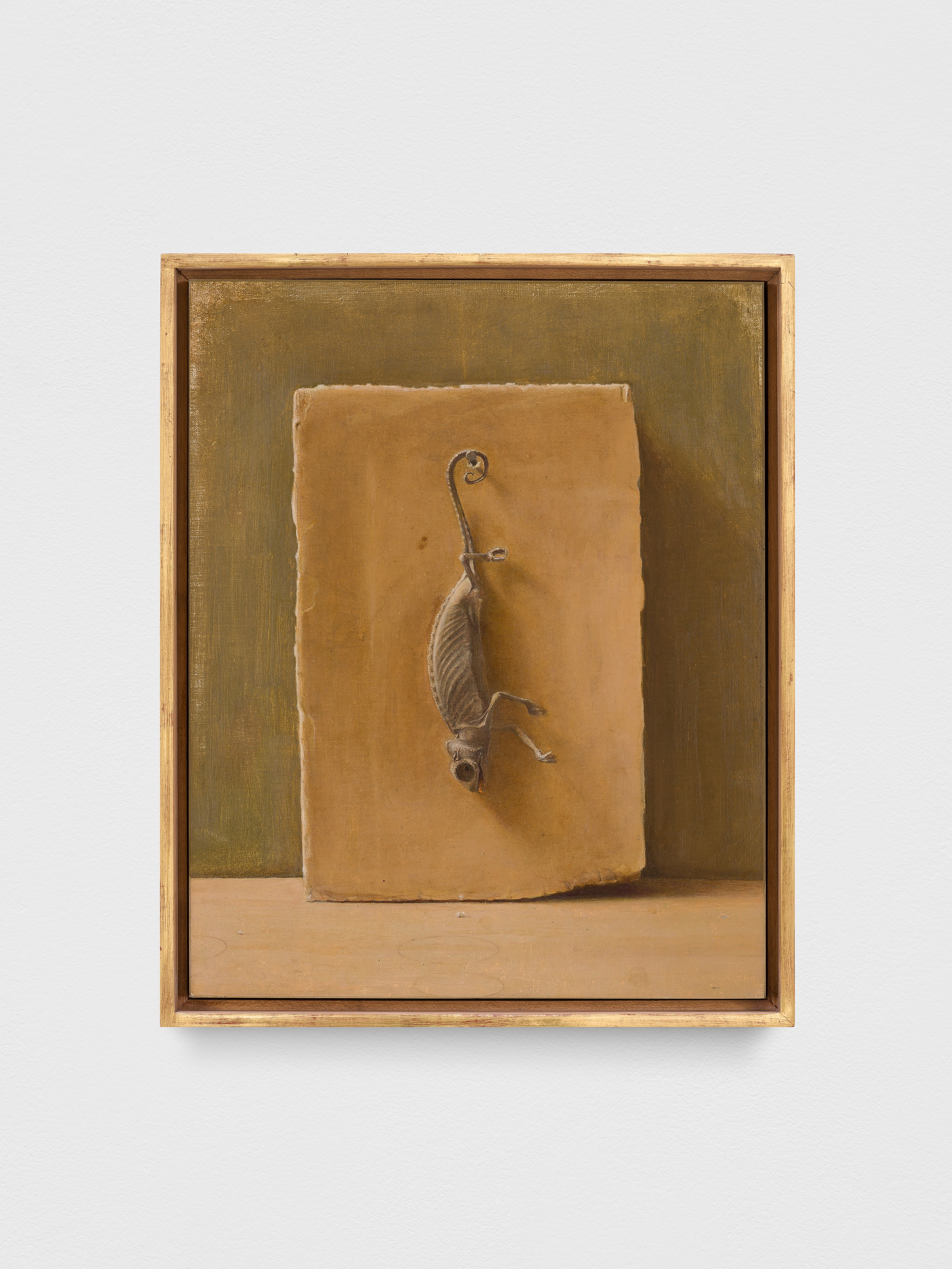 Israel Hershberg, IMAGO at Galeria Plan B, photo 17
