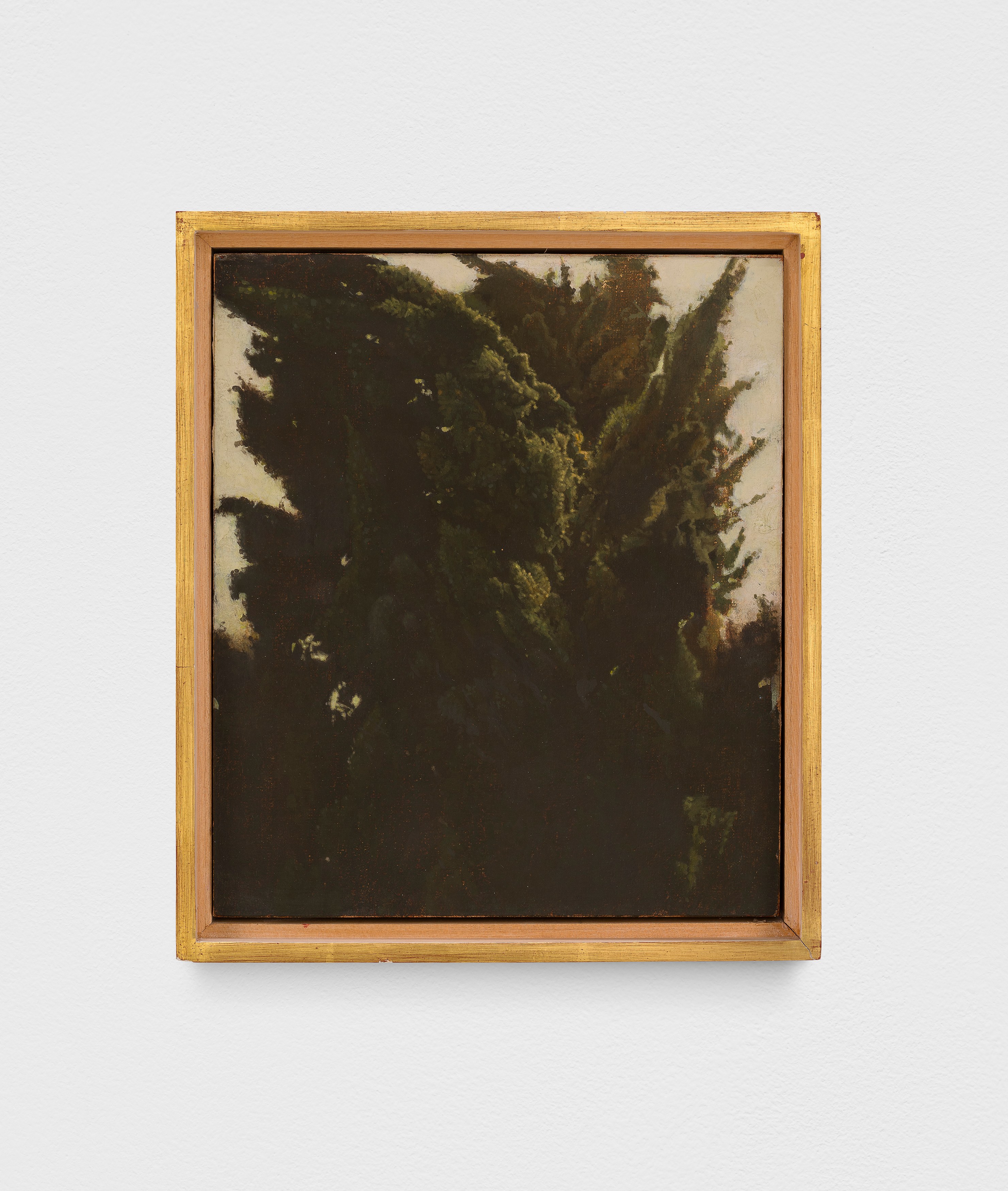 Israel Hershberg, IMAGO at Galeria Plan B, photo 19
