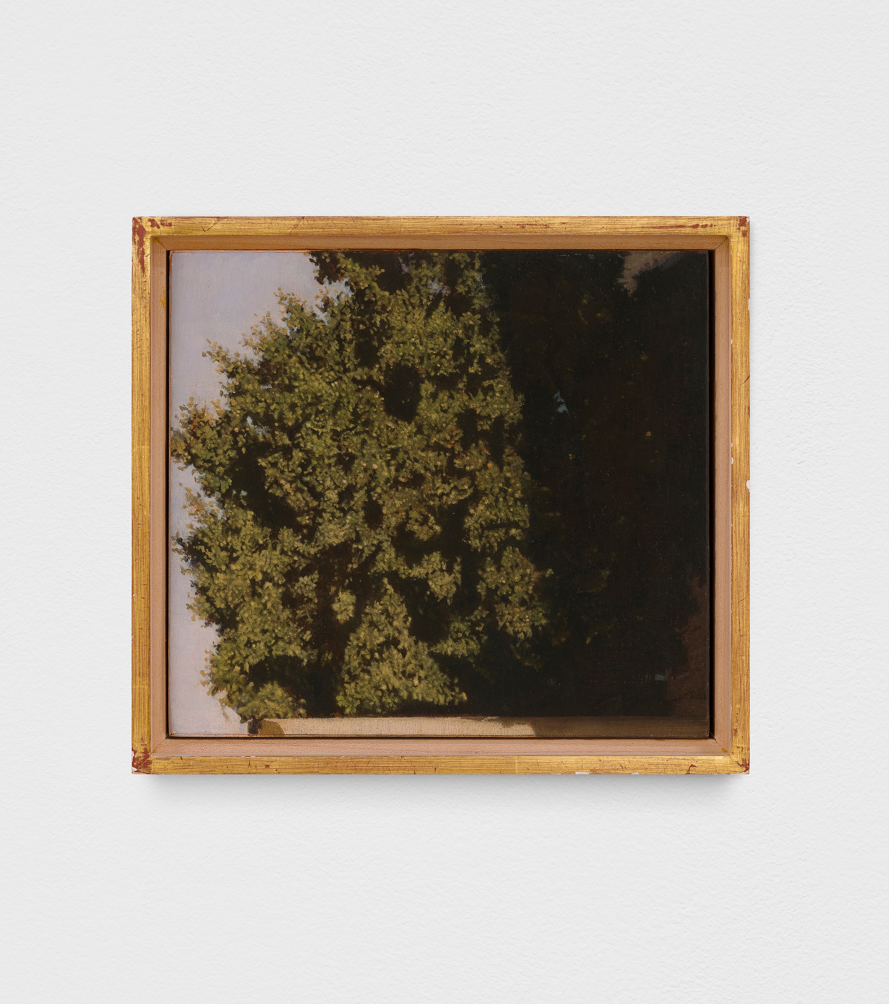 Israel Hershberg, IMAGO at Galeria Plan B, photo 18