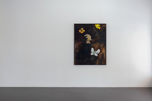 Image 1 of 20