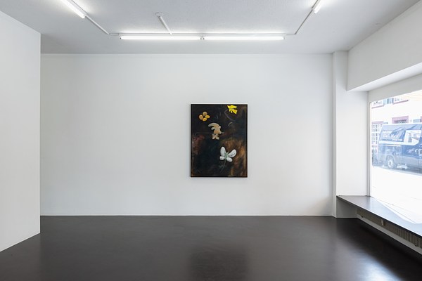 Image 4 of 20