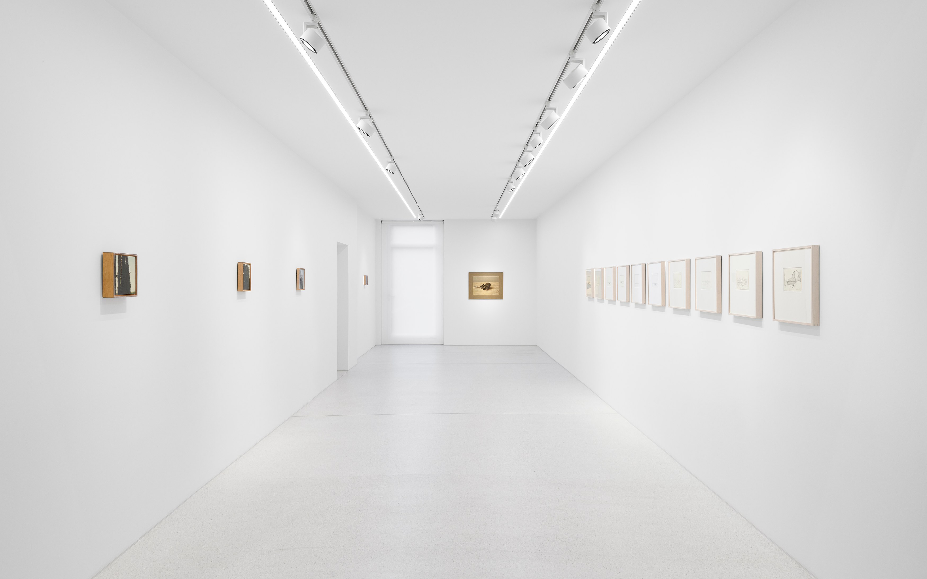 Israel Hershberg, IMAGO at Galeria Plan B, photo 5