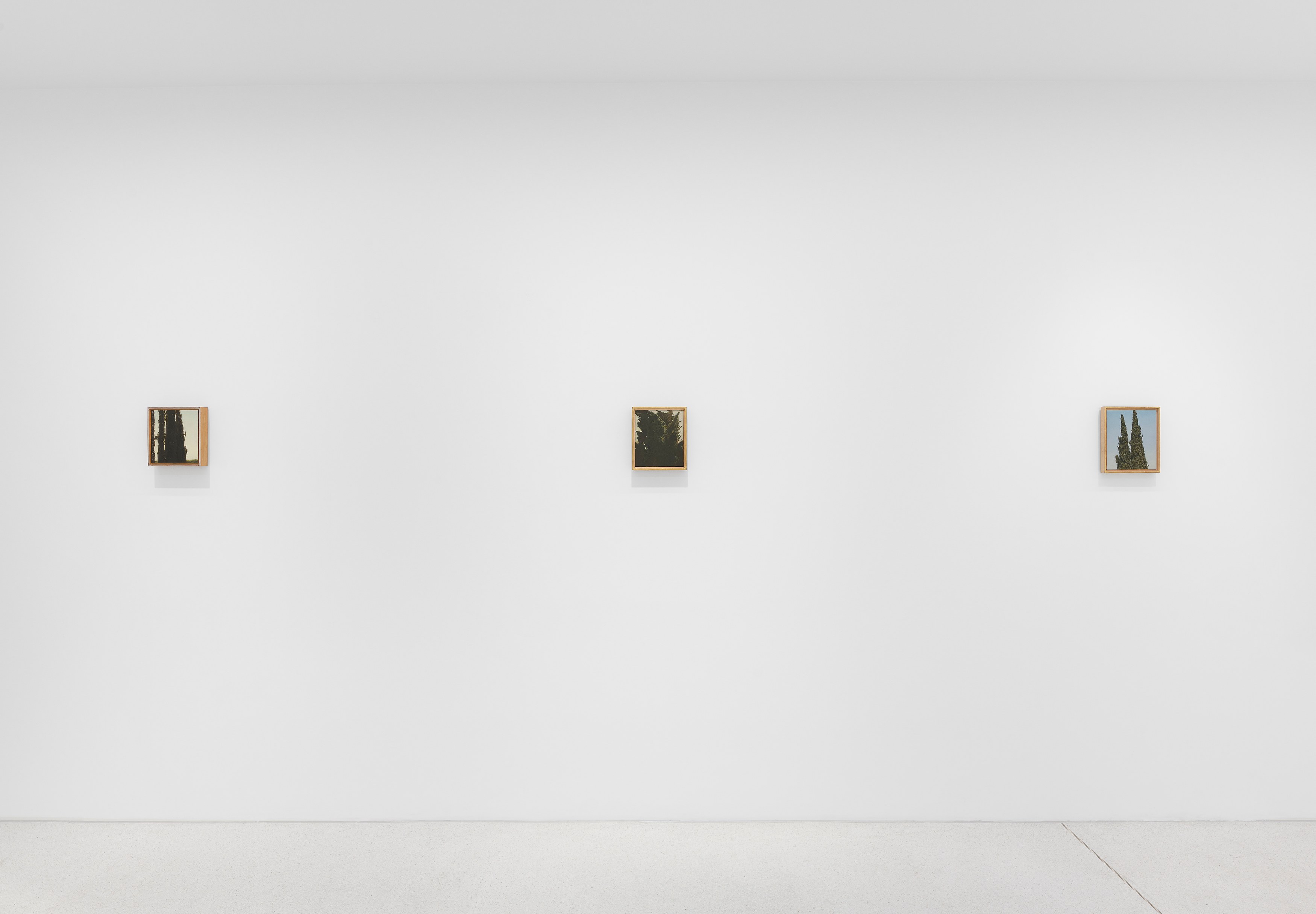 Israel Hershberg, IMAGO at Galeria Plan B, photo 6