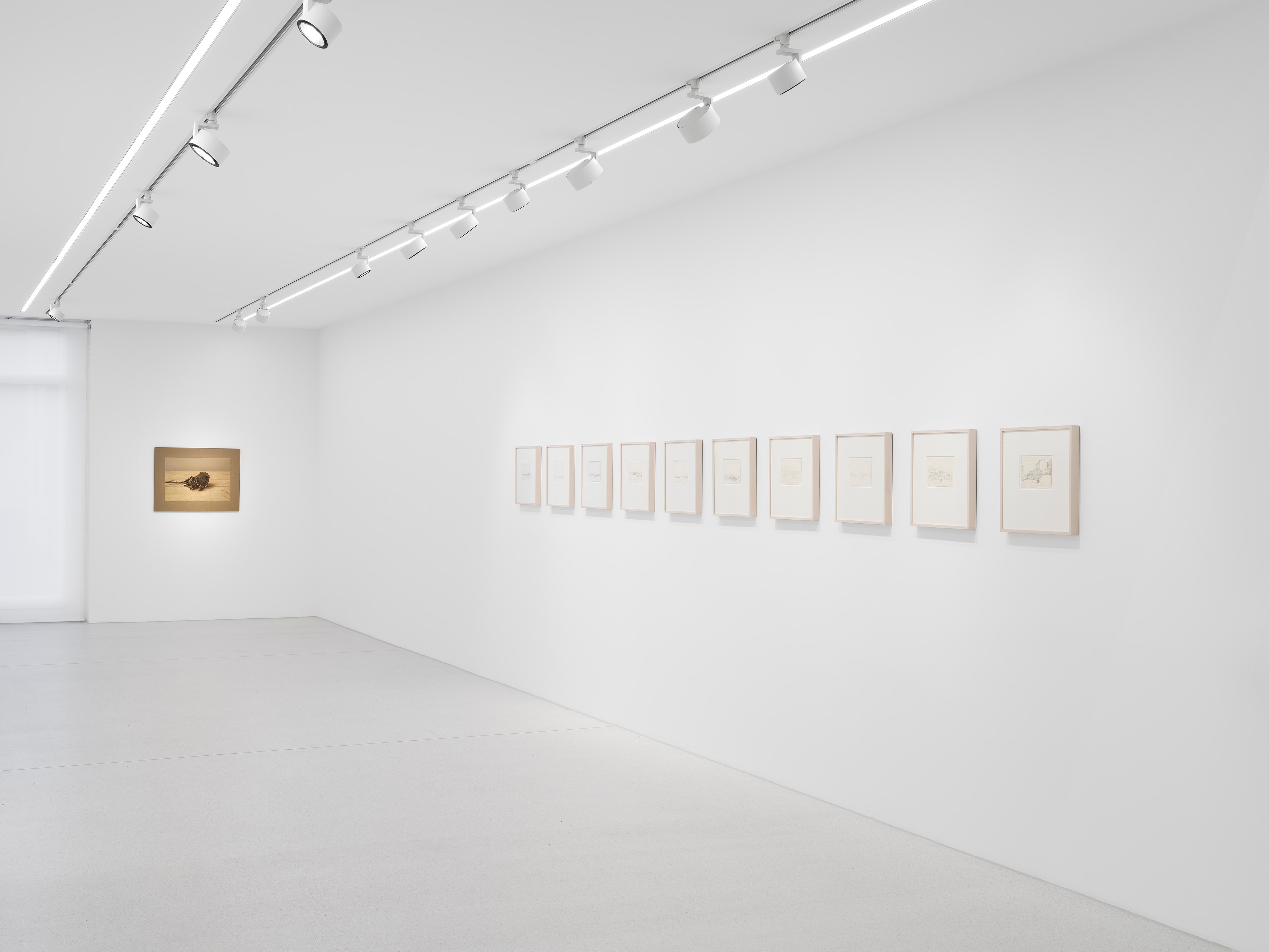 Israel Hershberg, IMAGO at Galeria Plan B, photo 7