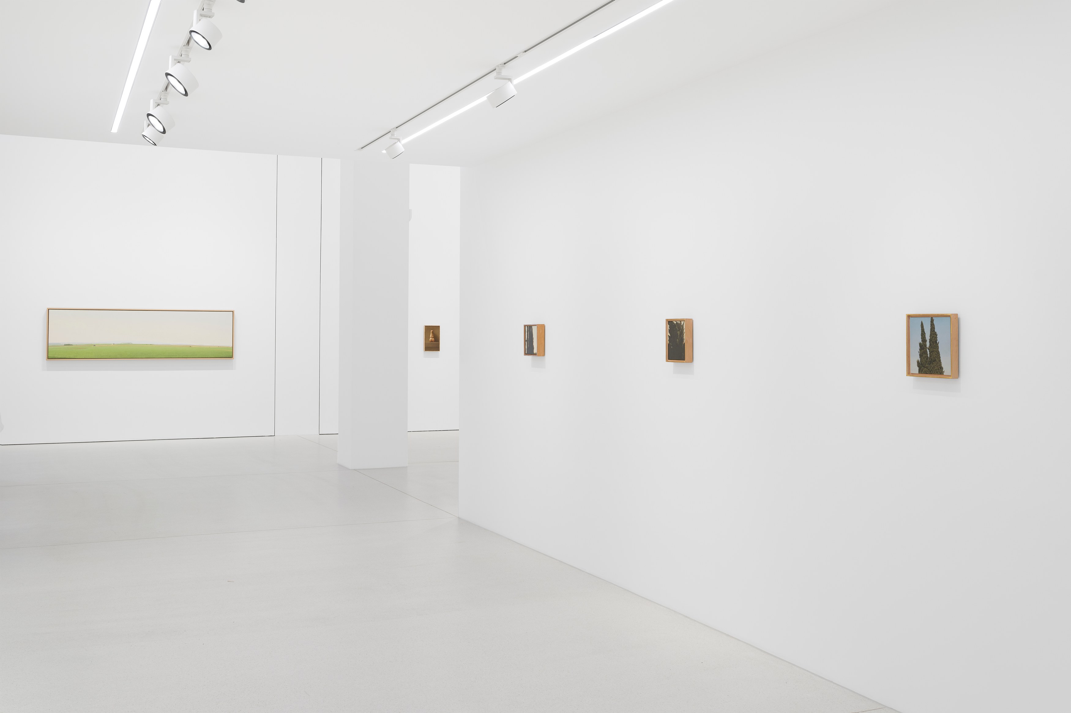 Israel Hershberg, IMAGO at Galeria Plan B, photo 8