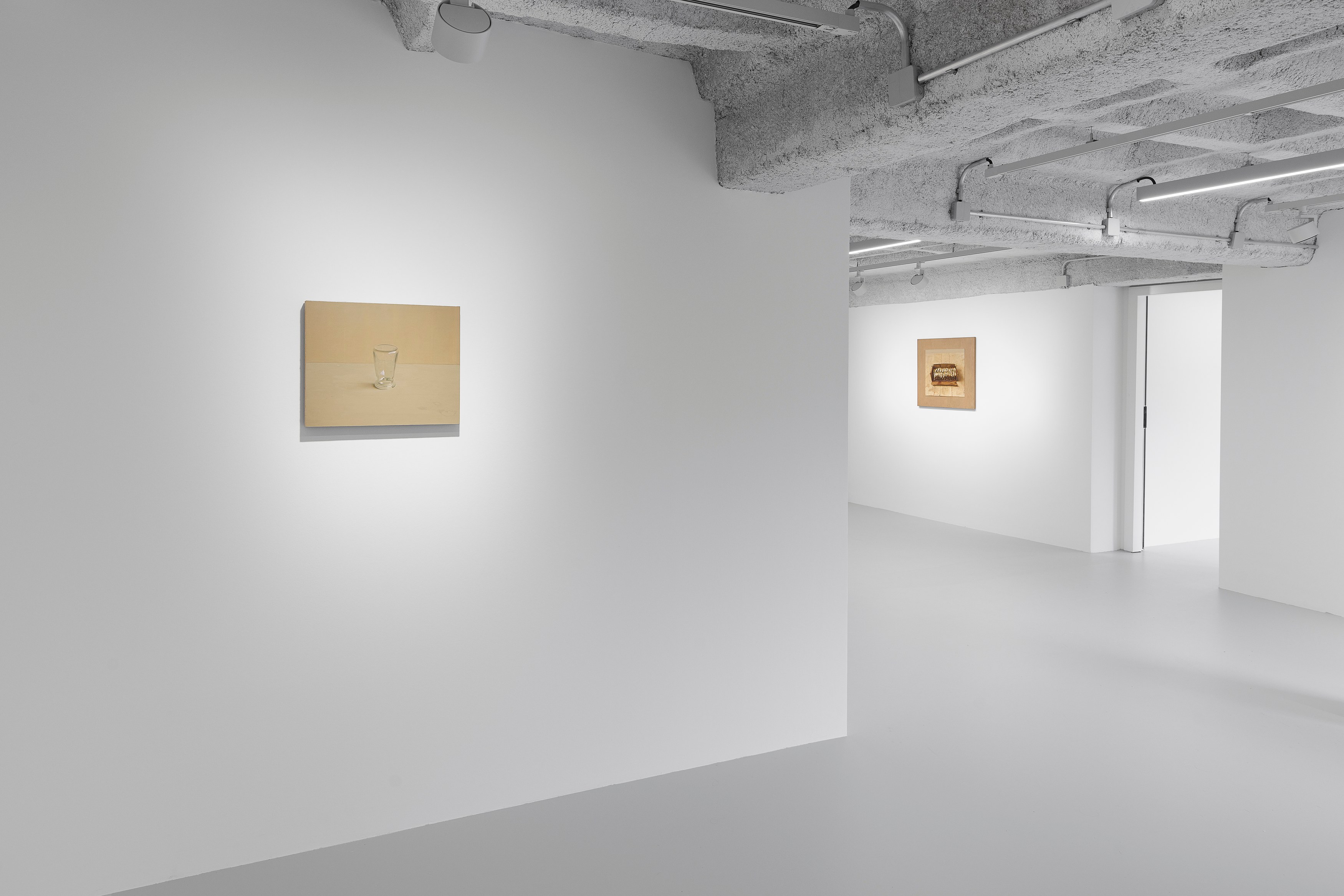 Israel Hershberg, IMAGO at Galeria Plan B, photo 13