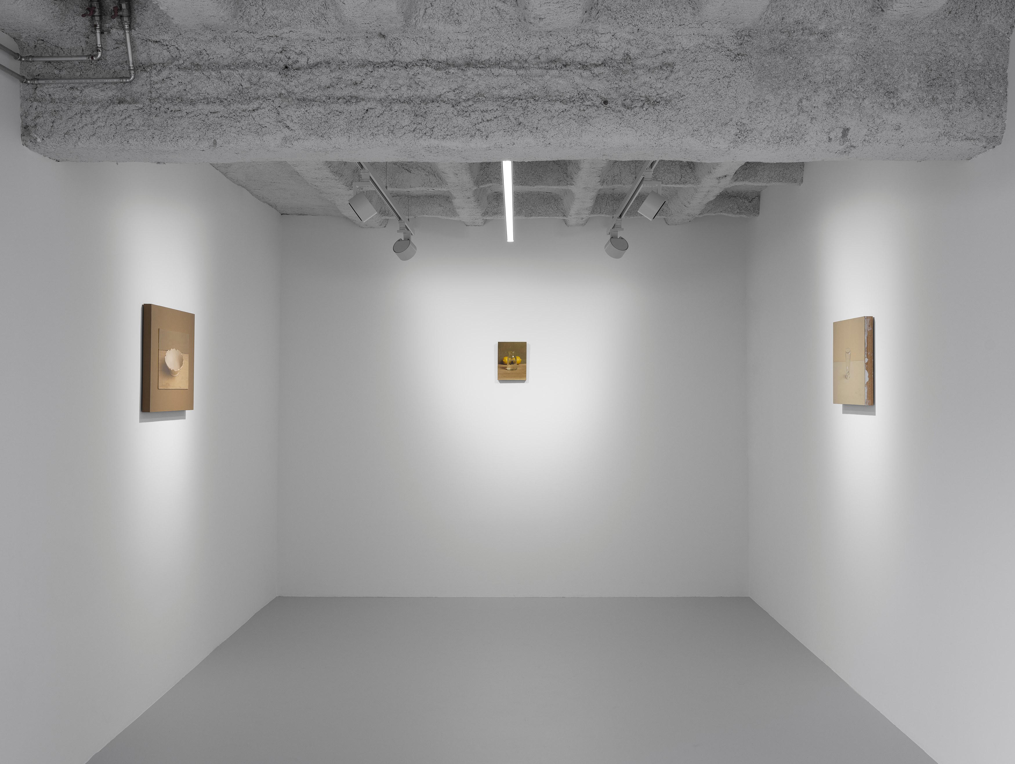 Israel Hershberg, IMAGO at Galeria Plan B, photo 14