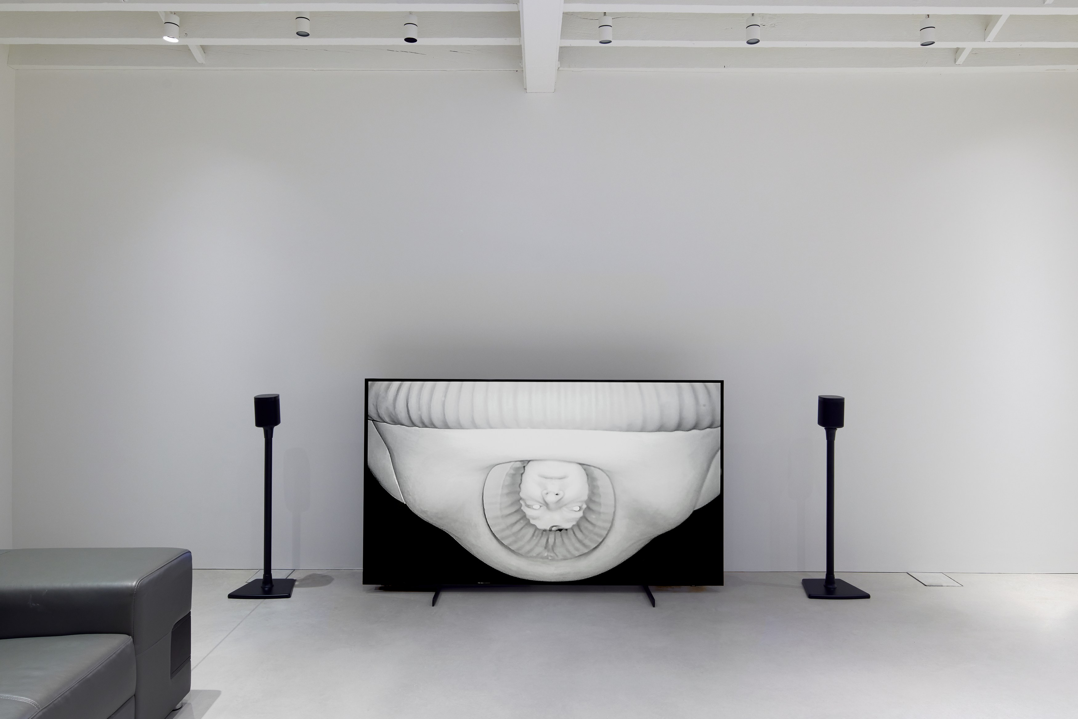 Anna Uddenberg, Home Wreckers at The Perimeter, photo 4