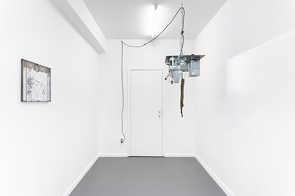 Image 4 of 44