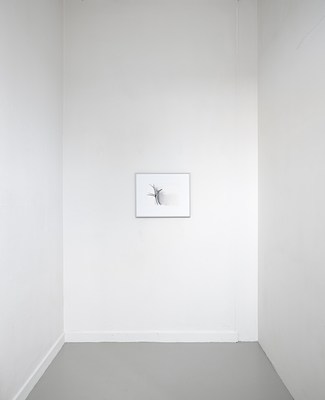 Image 1 of 18