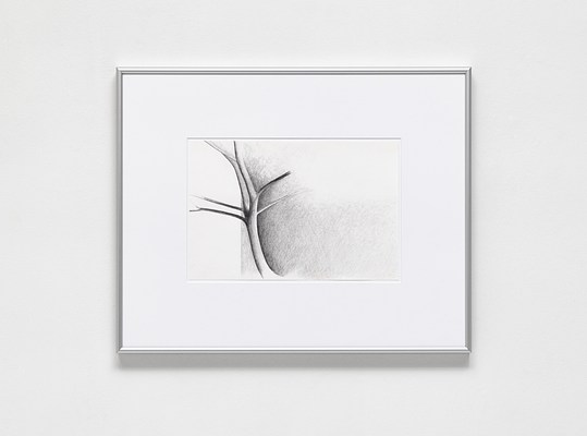 Image 2 of 18