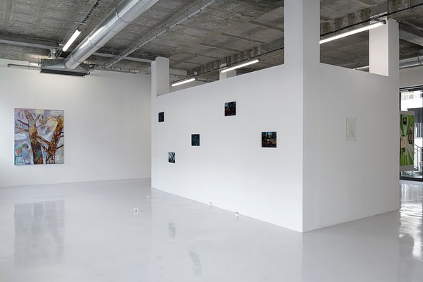 Image 10 of 24