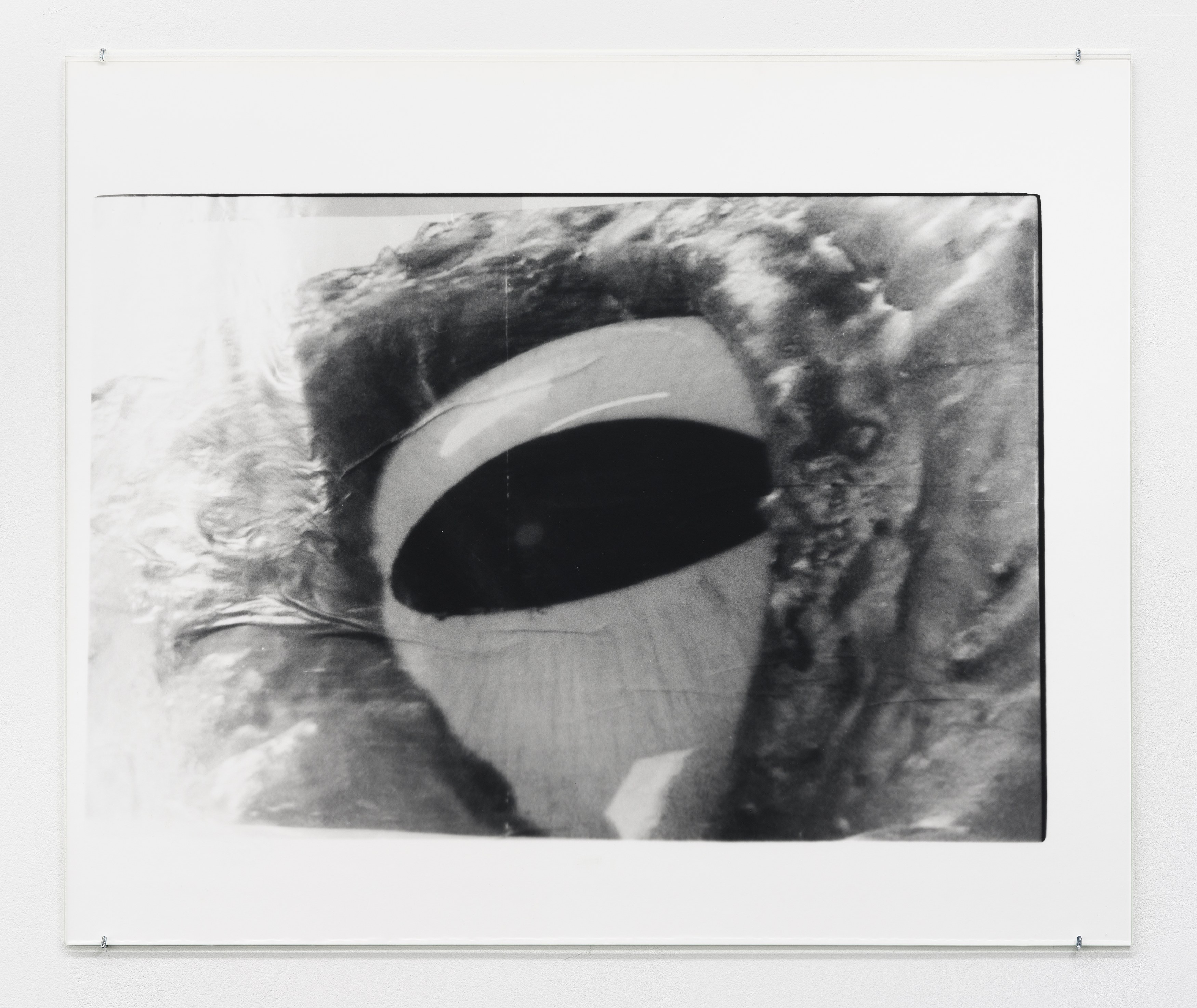 Tony Chrenka, Untitled at Theta, New York and From the Desk of Lucy Bull, New York, photo 4
