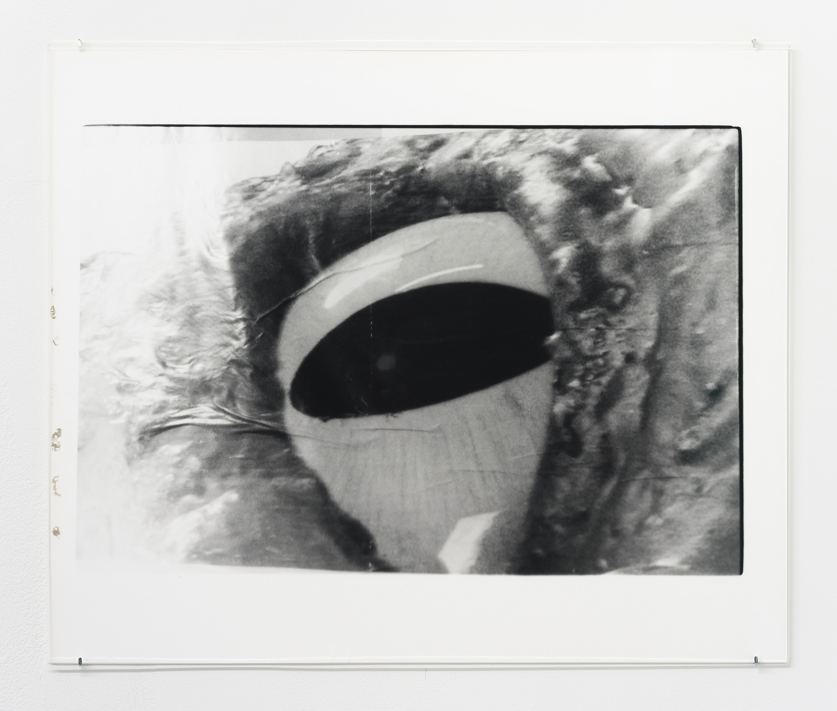 Tony Chrenka, Untitled at Theta, New York and From the Desk of Lucy Bull, New York, photo 10