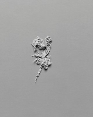 Image 23 of 29