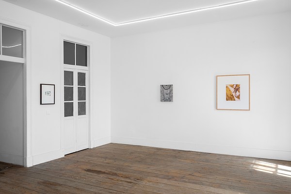 Image 20 of 20