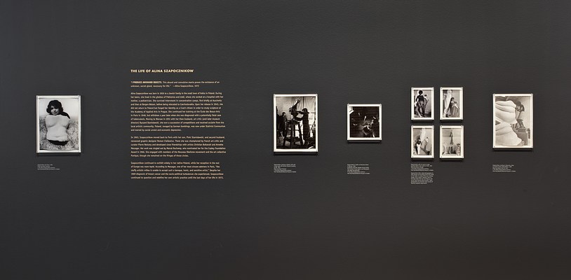 Image 2 of 25