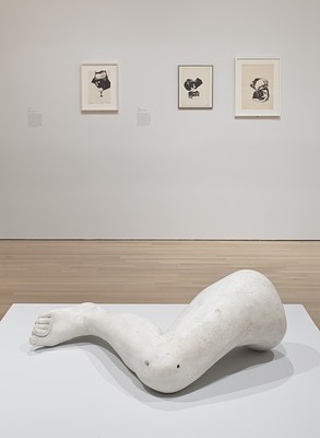 Image 7 of 25
