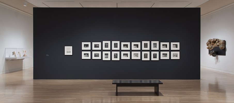 Image 9 of 25