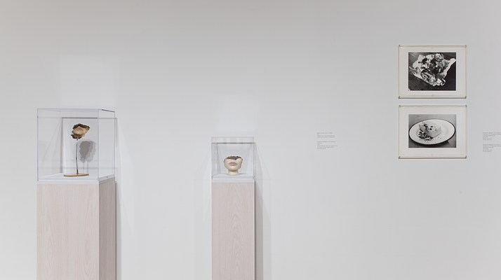 Image 13 of 25