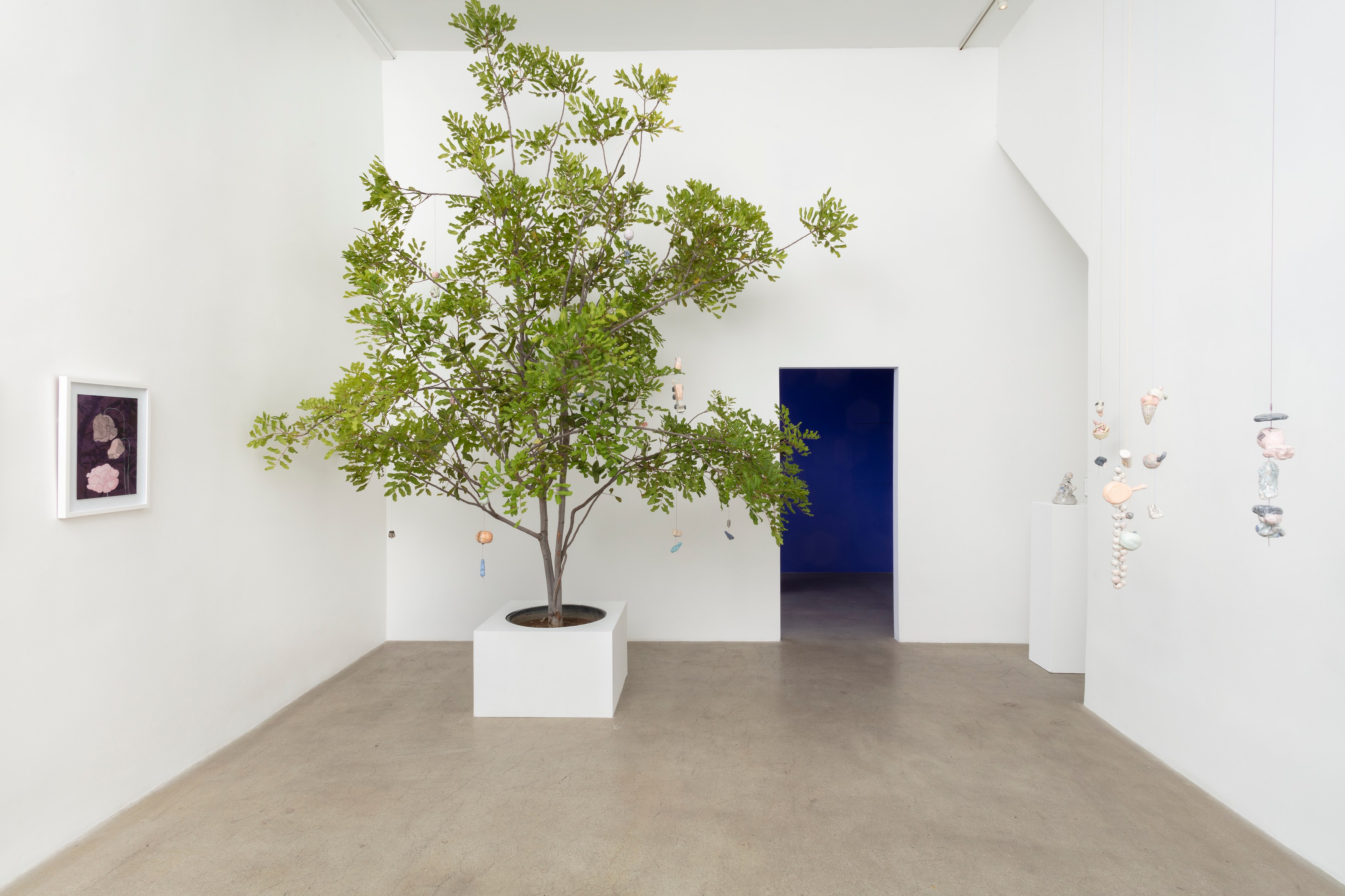Johanna Jackson, I Am Vertical at NOON Projects, photo 2