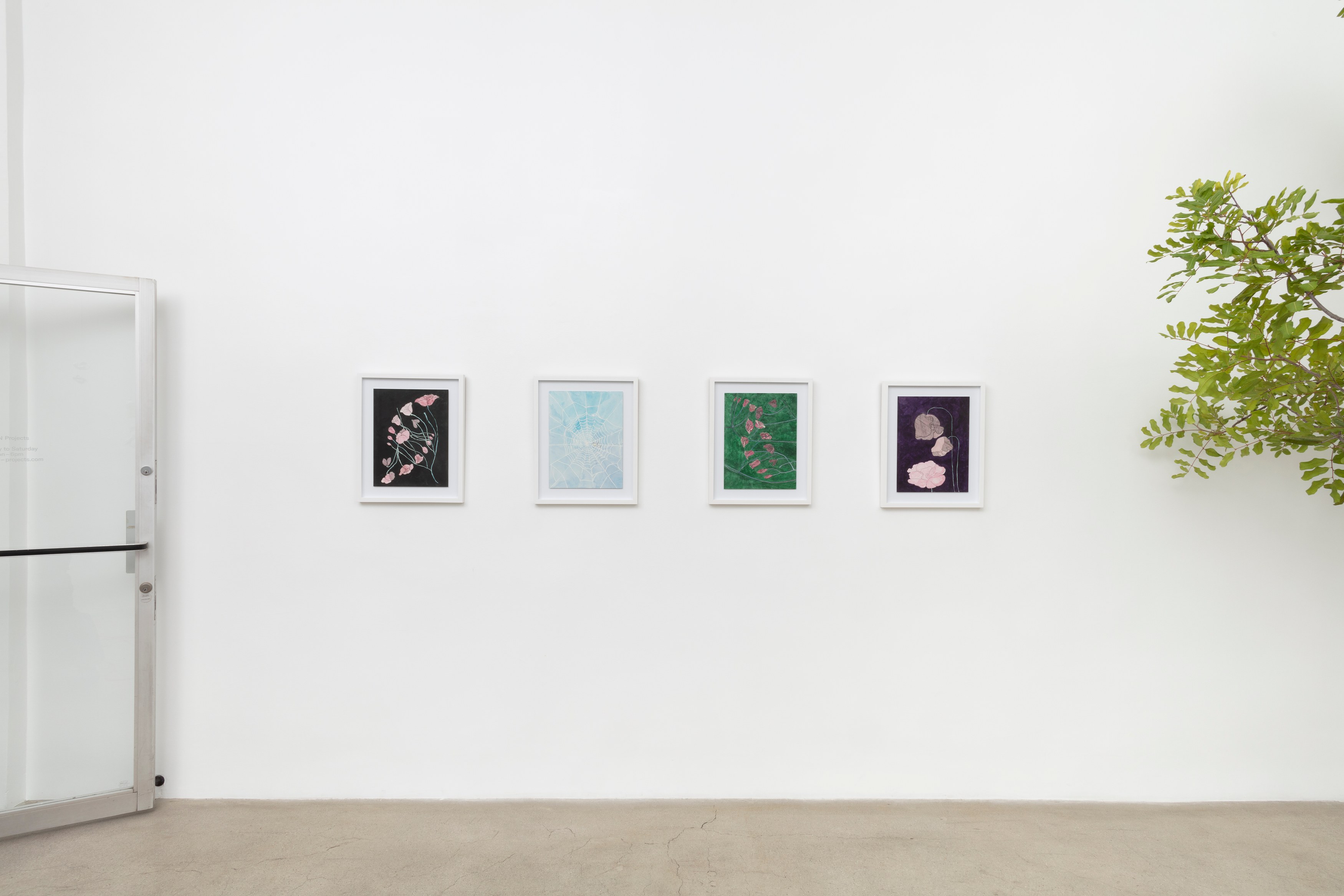 Johanna Jackson, I Am Vertical at NOON Projects, photo 5