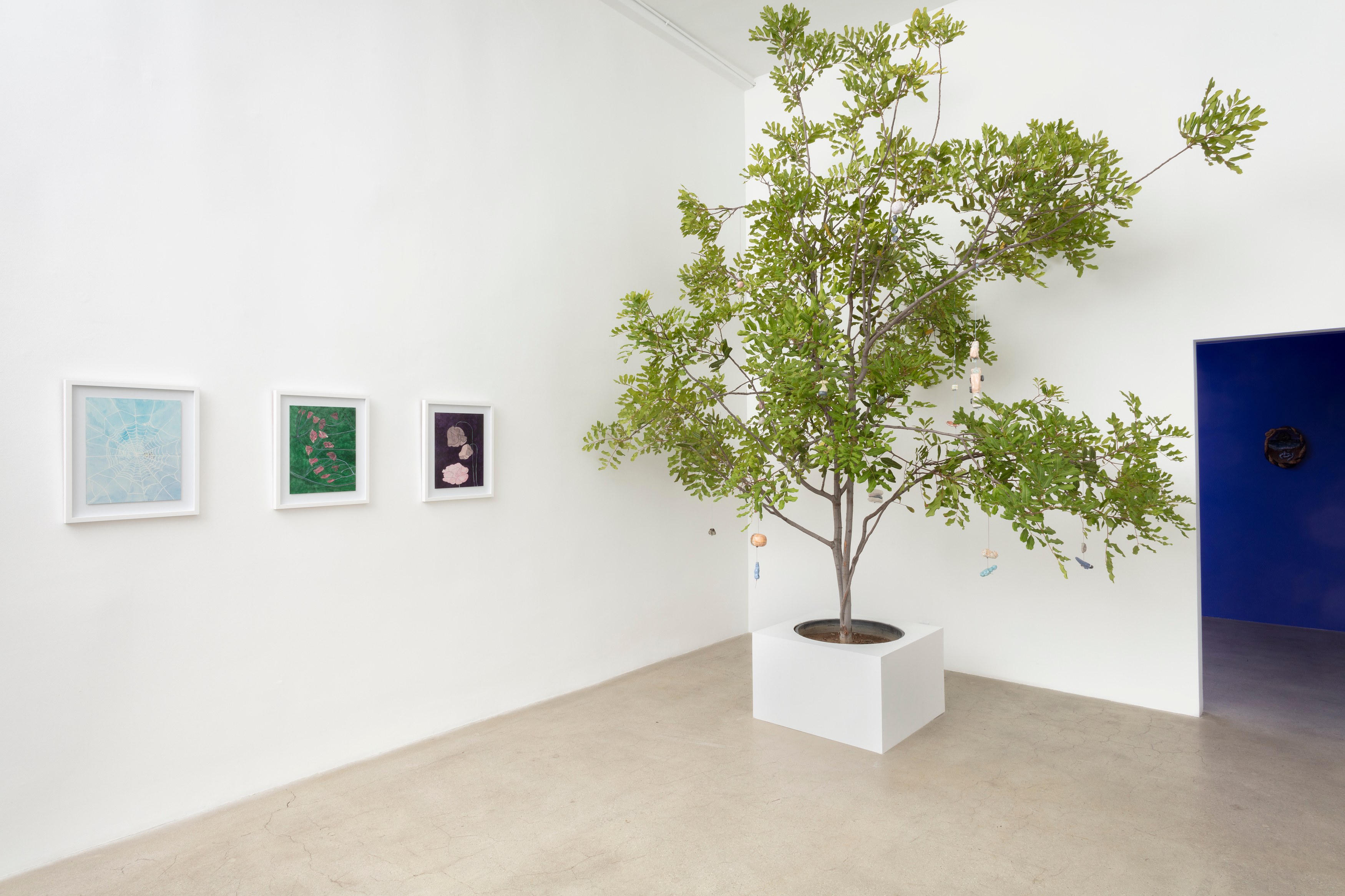 Johanna Jackson, I Am Vertical at NOON Projects, photo 3